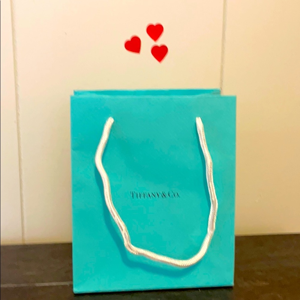 Tiffany & Co shopping bag